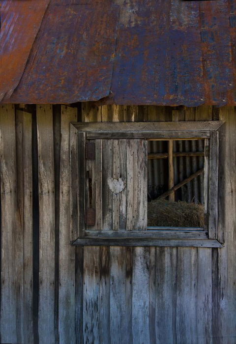 Tyenna River Cottages - Foster Accommodation 28