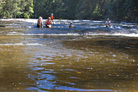 Tyenna River Cottages - Foster Accommodation 9