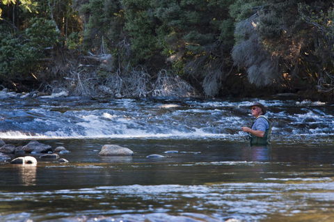 Tyenna River Cottages - Foster Accommodation 21