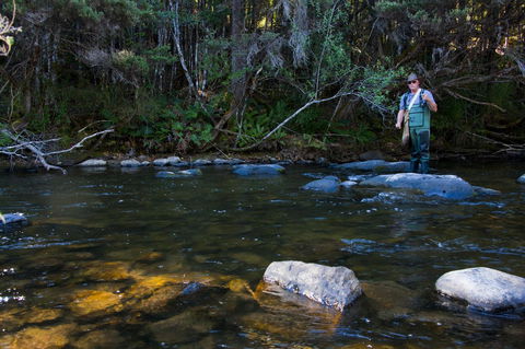 Tyenna River Cottages - Foster Accommodation 2