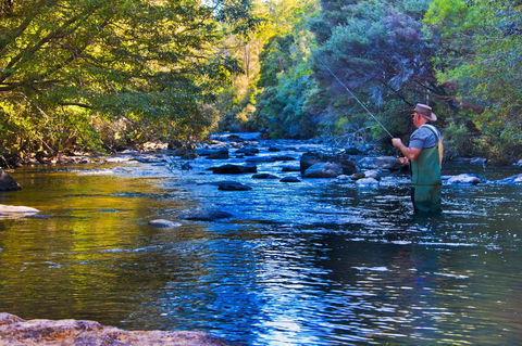 Tyenna River Cottages - Foster Accommodation 22