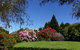 Highgrove - thumb 15