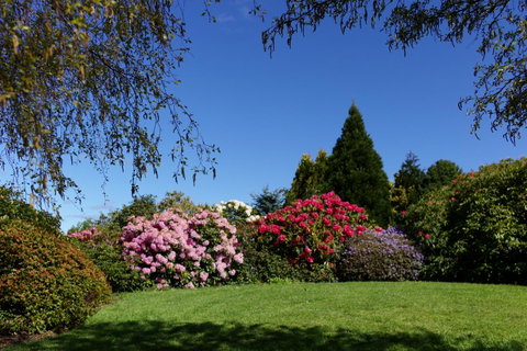 Highgrove - Foster Accommodation 15