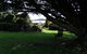 Highgrove - thumb 14