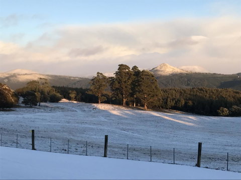 Highgrove - Foster Accommodation 26