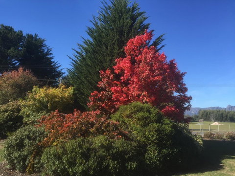Highgrove - Foster Accommodation 22