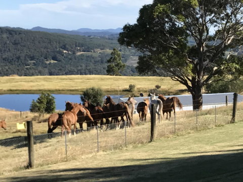 Highgrove - Foster Accommodation 25