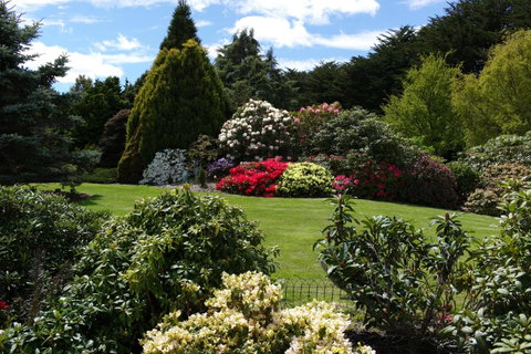 Highgrove - Foster Accommodation 18
