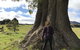 Highgrove - thumb 21