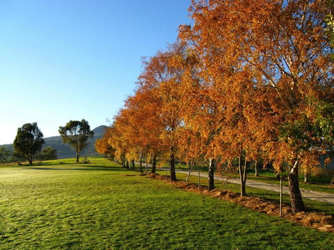 Plovers Ridge Country Retreat - Foster Accommodation 8