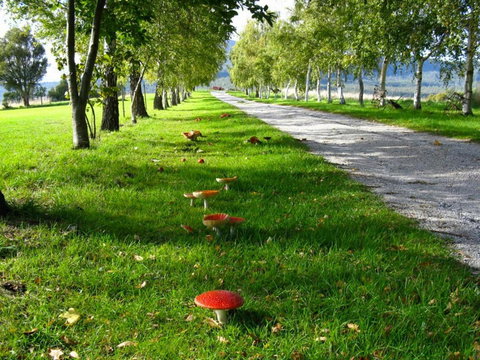 Plovers Ridge Country Retreat - Foster Accommodation 0