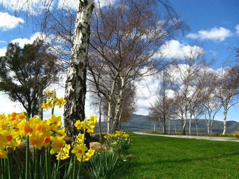 Plovers Ridge Country Retreat - Foster Accommodation 4