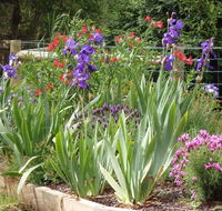 Karoola Cottage Self Contained - Foster Accommodation