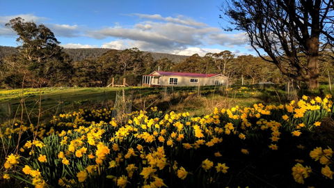 Mountain Blue Guest House - Foster Accommodation 3
