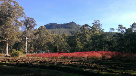 Mountain Blue Guest House - Foster Accommodation 23