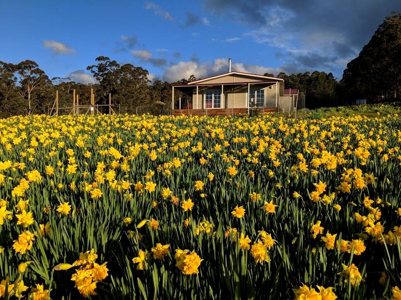 Golden Valley TAS Foster Accommodation