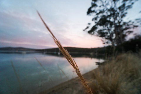 Free Spirit Pods - Foster Accommodation 8