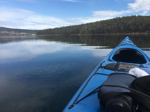 Free Spirit Pods - Foster Accommodation 20