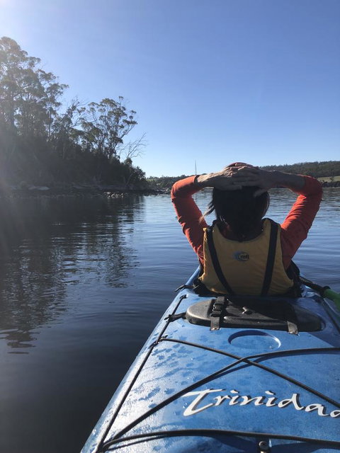 Free Spirit Pods - Foster Accommodation 1