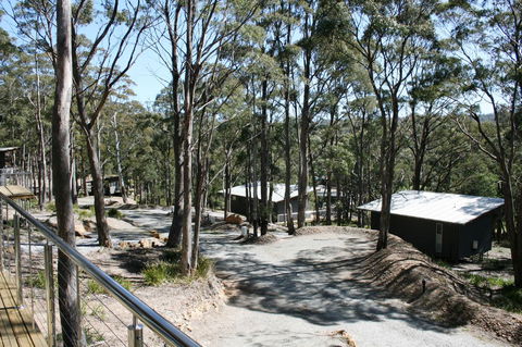 Craggy Peaks Wilderness Cabins - Foster Accommodation 22