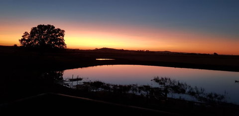 New Horizons Farm Stay - Foster Accommodation 1