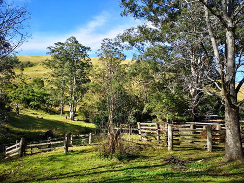 Nirvana Spiritual Retreat - Foster Accommodation 2