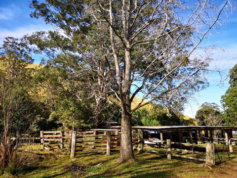 Nirvana Spiritual Retreat - Foster Accommodation 1