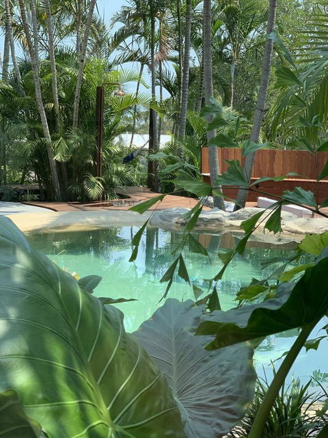 Noosa Beach Cottage - Foster Accommodation 3