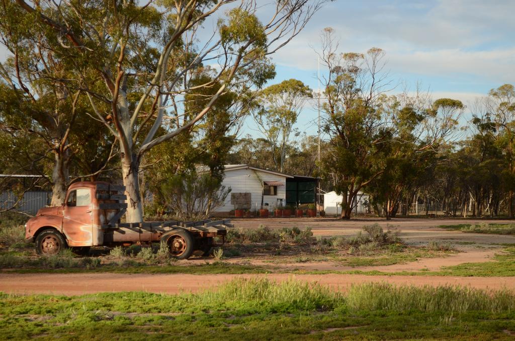  Foster Accommodation