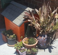 Orange Grove Hotel - Foster Accommodation