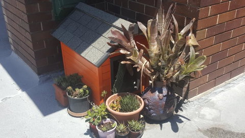Orange Grove Hotel - Foster Accommodation 0