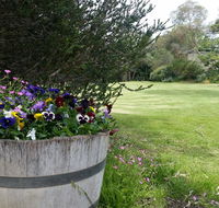 Padthaway Caravan Park - Foster Accommodation