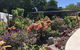 Paradise Retreat - thumb 0