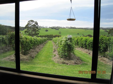 Pennyroyal Raspberry Farm & Cidery - Foster Accommodation 0