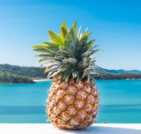 Pineapple House Whitsundays - Foster Accommodation