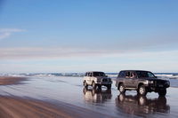 Pippies Beachhouse