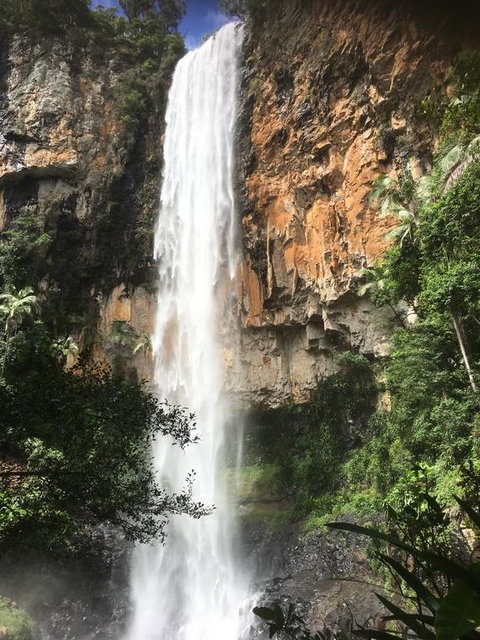 Purling Brook Falls Gwongorella - Foster Accommodation 0