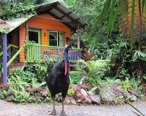 Rainforest Hideaway - Foster Accommodation 0