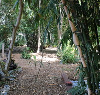 Rainforest Water Front River Shack Secluded. - Foster Accommodation