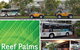 Reef Palms - thumb 1