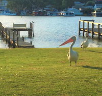 Riverfront Getaway - Mannum - Foster Accommodation