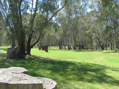 Rivergum Holiday Park - Foster Accommodation 2