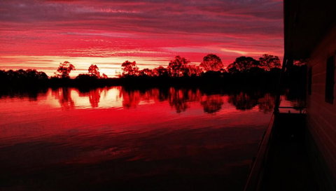 Rivershack Pet Friendly - Foster Accommodation 3