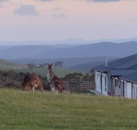 Rooks Edge - Foster Accommodation