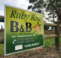 Ruby Rose - Foster Accommodation