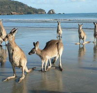 Seaforth Holiday Units - Foster Accommodation