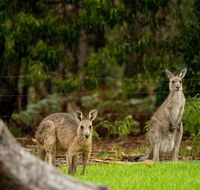 Secura Lifestyle Countryside Kalaru - Foster Accommodation