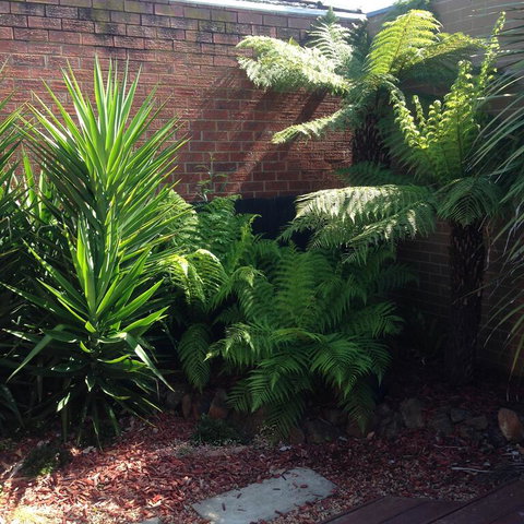 Short Stays Gippsland Trafalgar - Foster Accommodation 3
