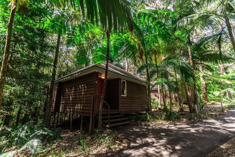Songbirds Rainforest Retreat - Foster Accommodation 2