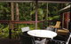 Songbirds Rainforest Retreat - thumb 1
